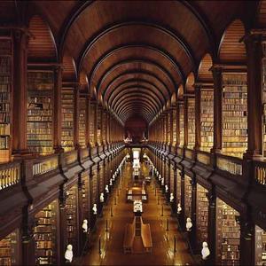 Konyvtar_ir_dublin